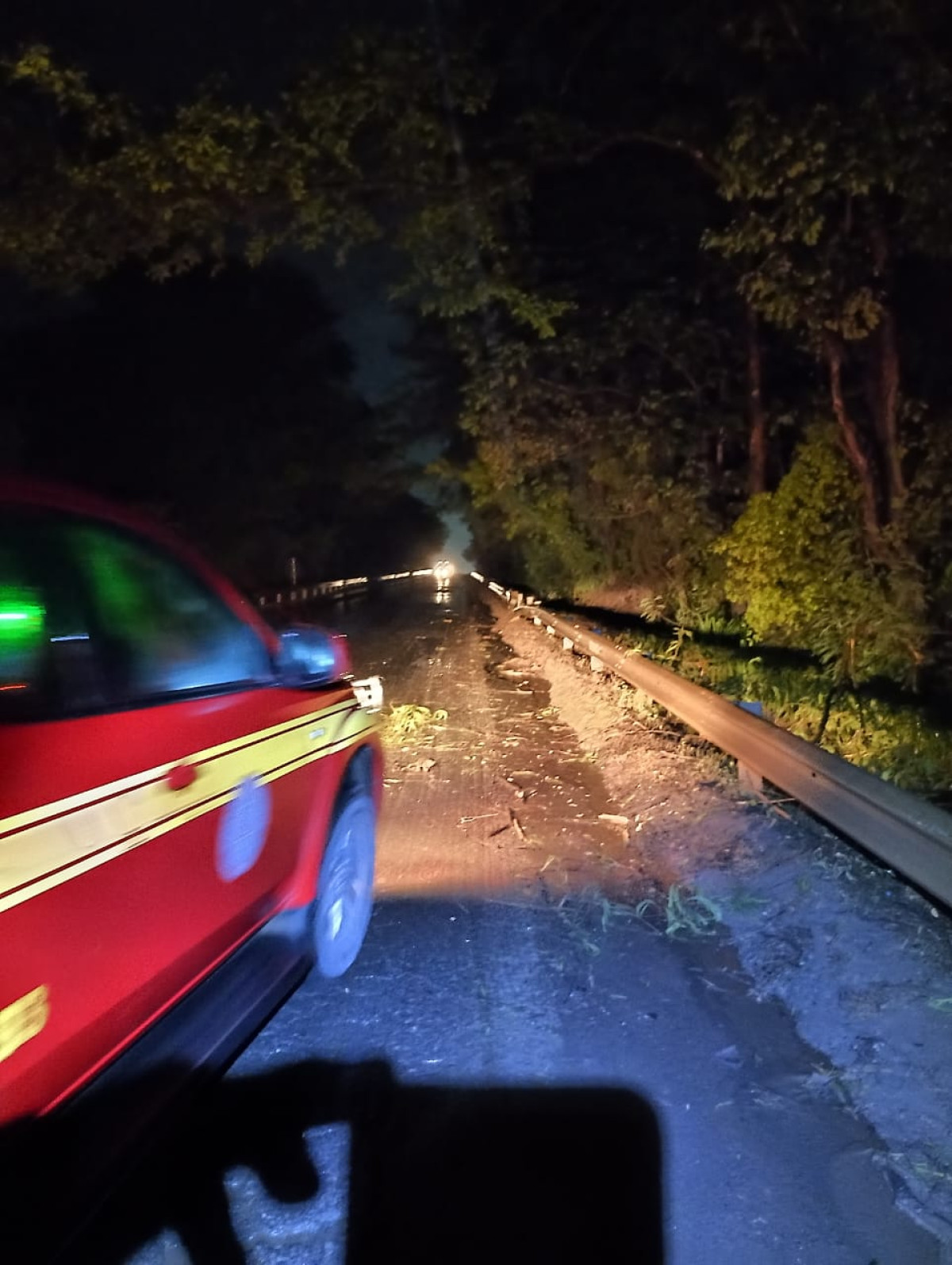 Bombeiros liberam trecho da BR 354 após queda de árvore