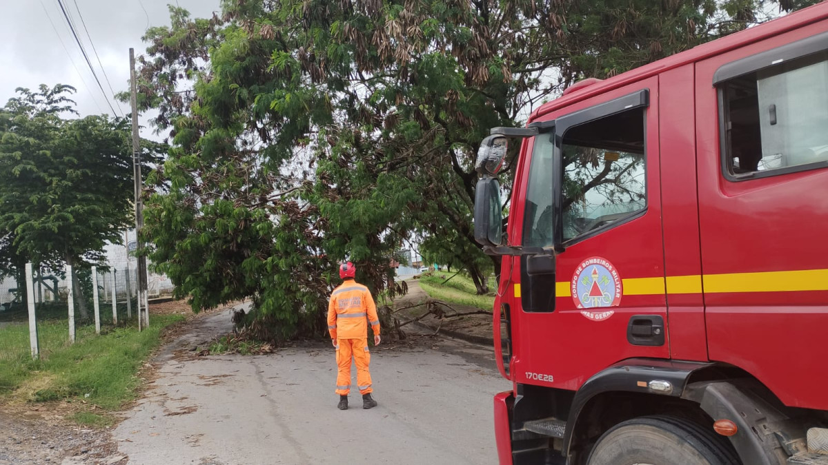 Corpo de Bombeiros realiza desobstrução de via pública em Arcos