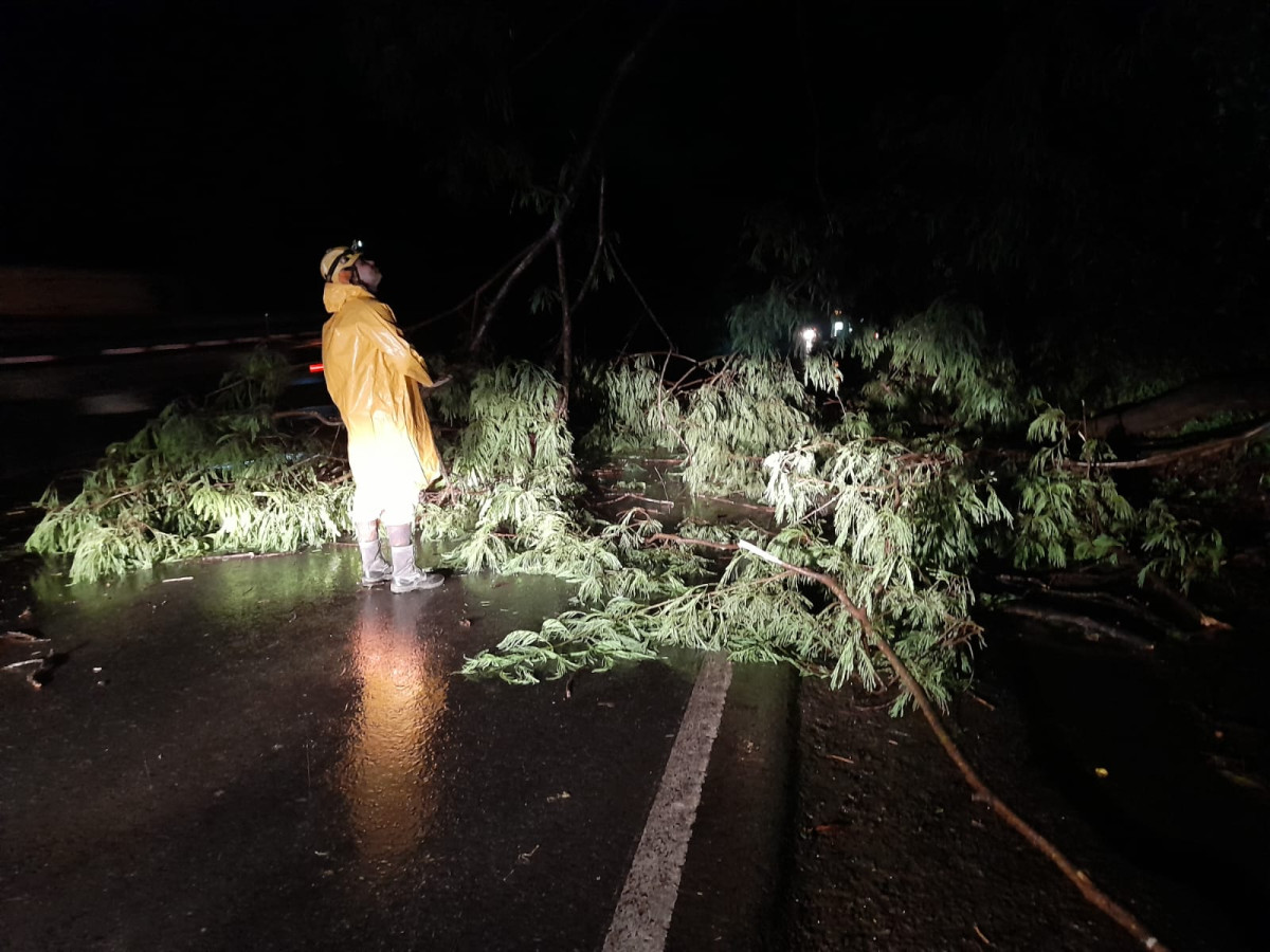Vias são desbloqueadas após quedas de árvores durante temporal em Arcos