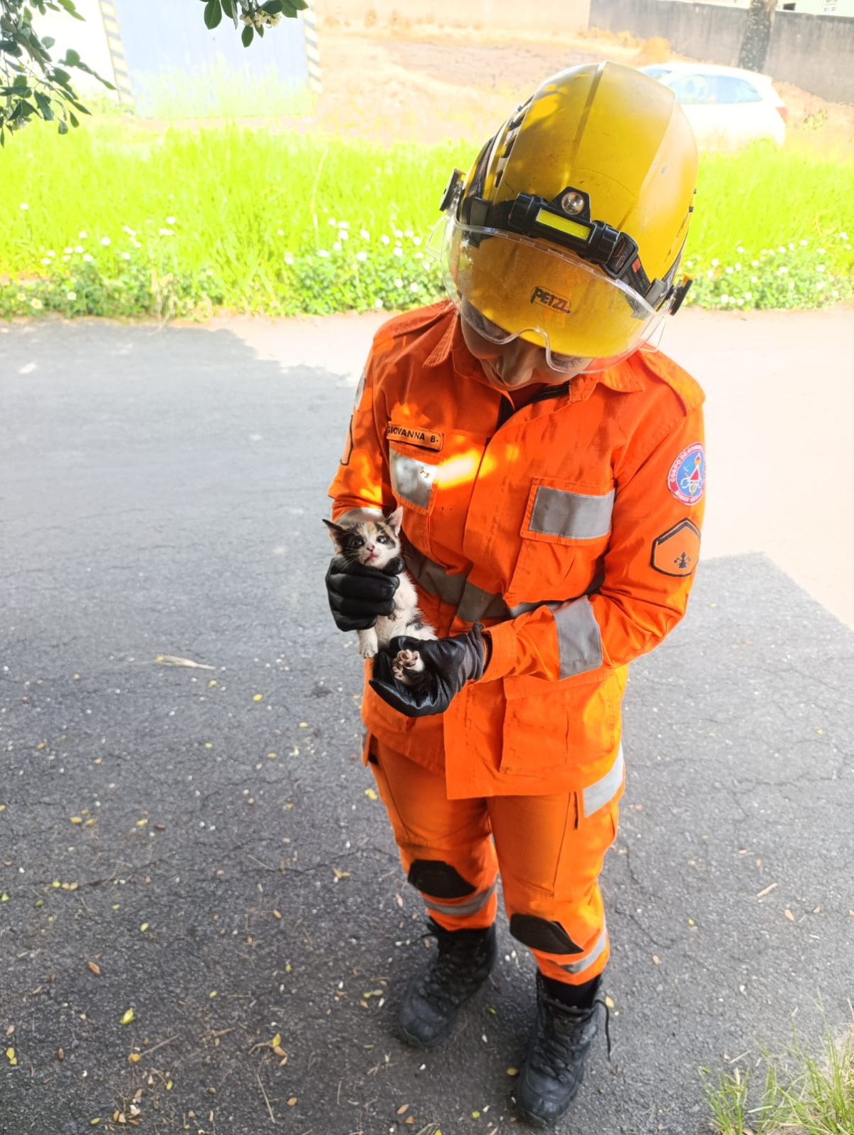 Resgate de filhote mobiliza guarnição no bairro Cidade Nova