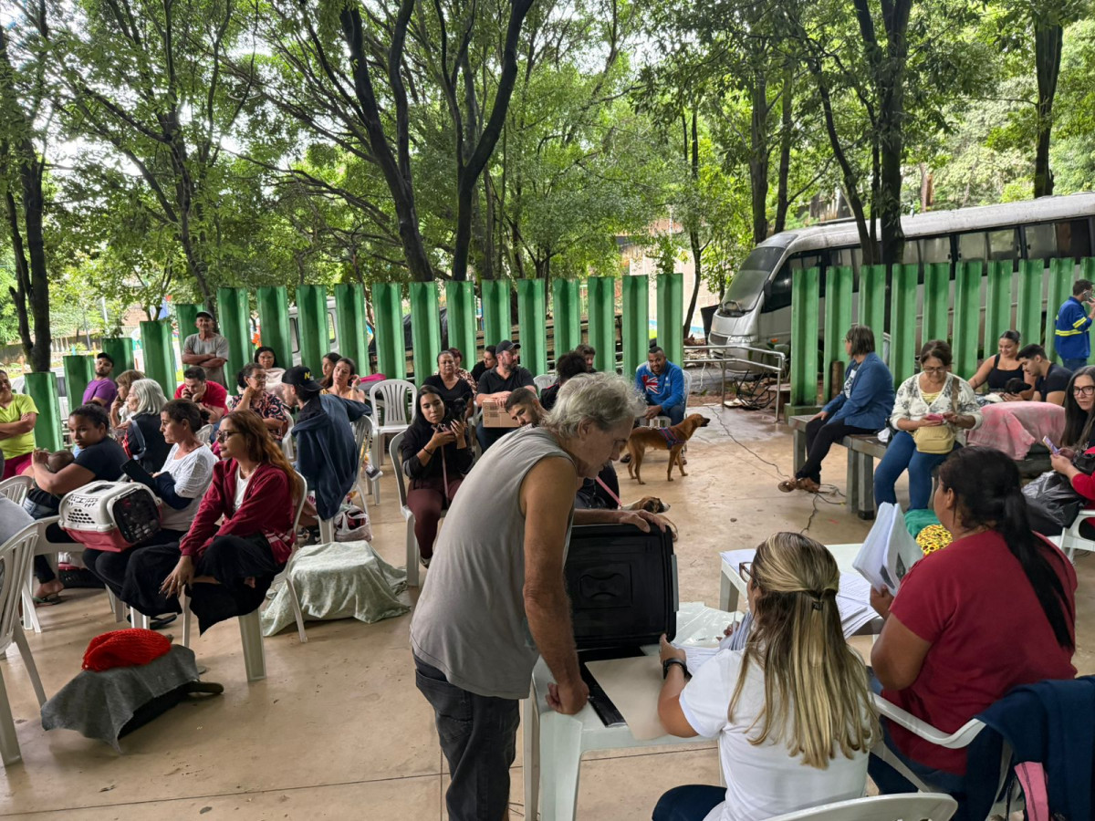 Mutirão de castração reforça cuidado com cães e gatos em Arcos