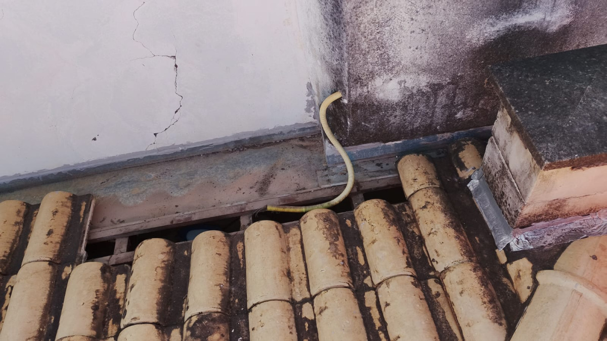 Operação cuidadosa garante resgate de filhote preso em vão estreito