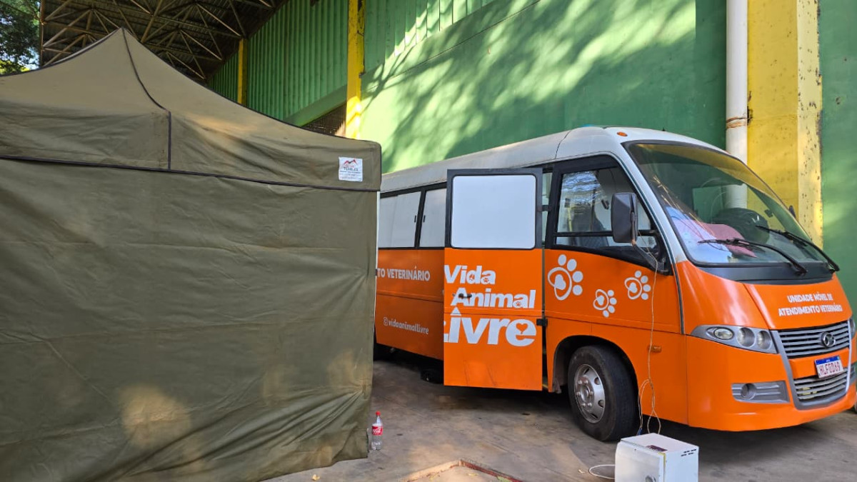Mutirão de castração gratuita atende cães e gatos em Arcos