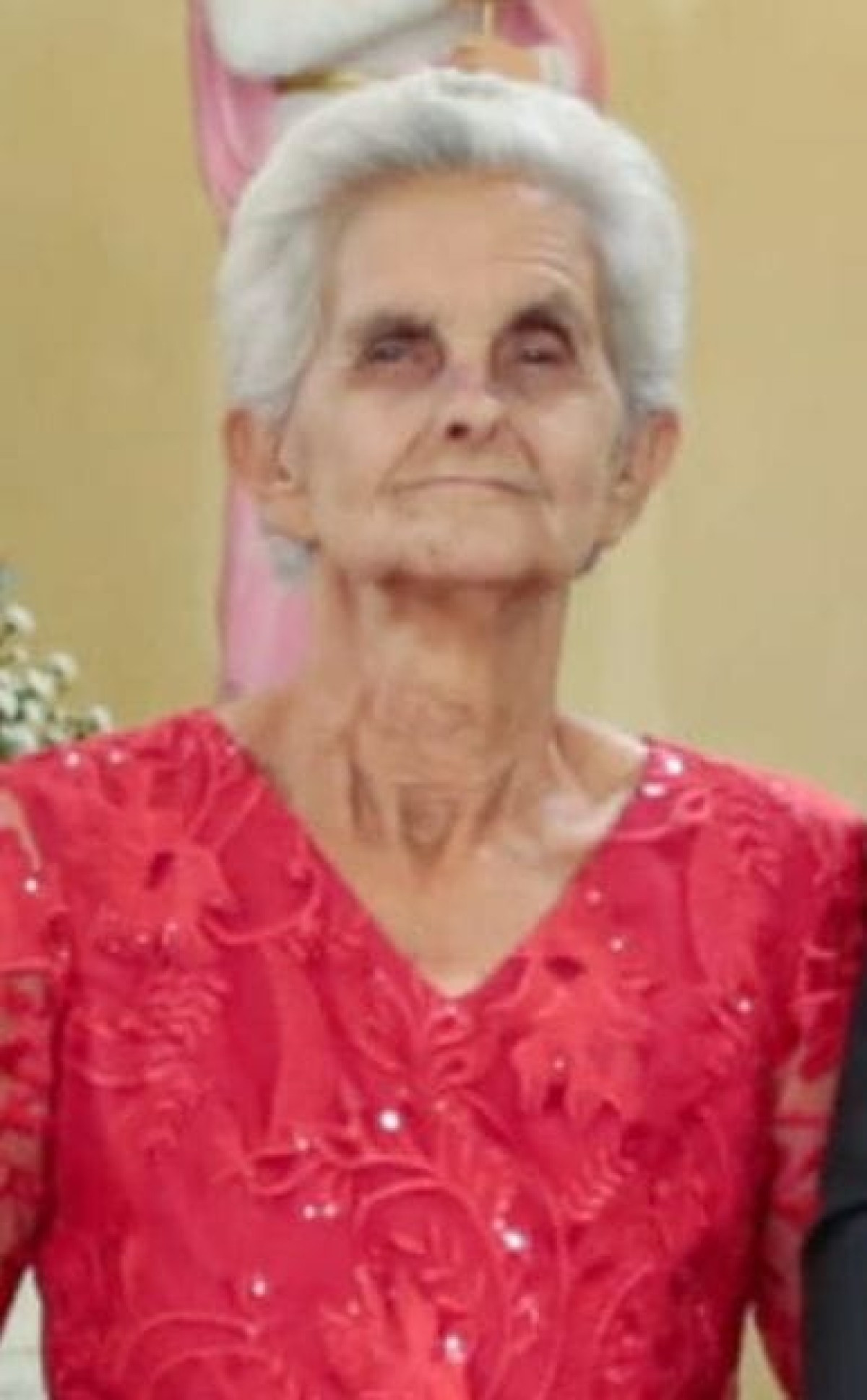 Luzia Teixeira Ramos